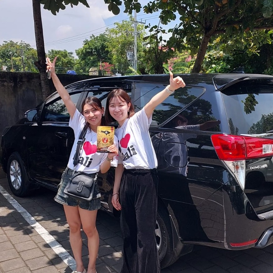 空港お迎えバリツアーイメージ