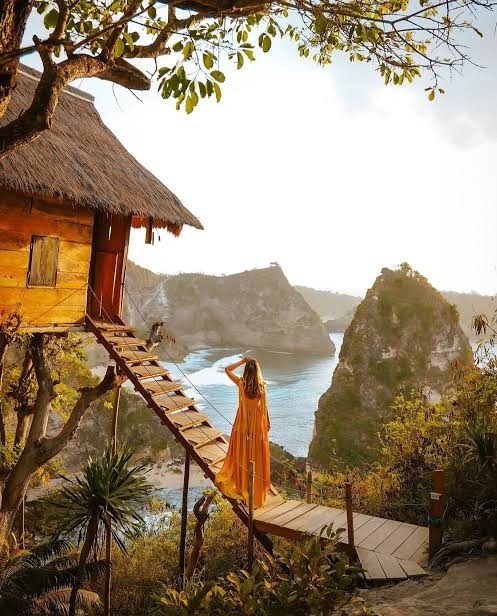 ツリーハウス 1